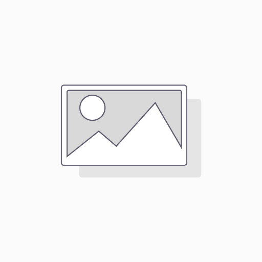 40S ribosomal protein S13 Polyclonal Antibody