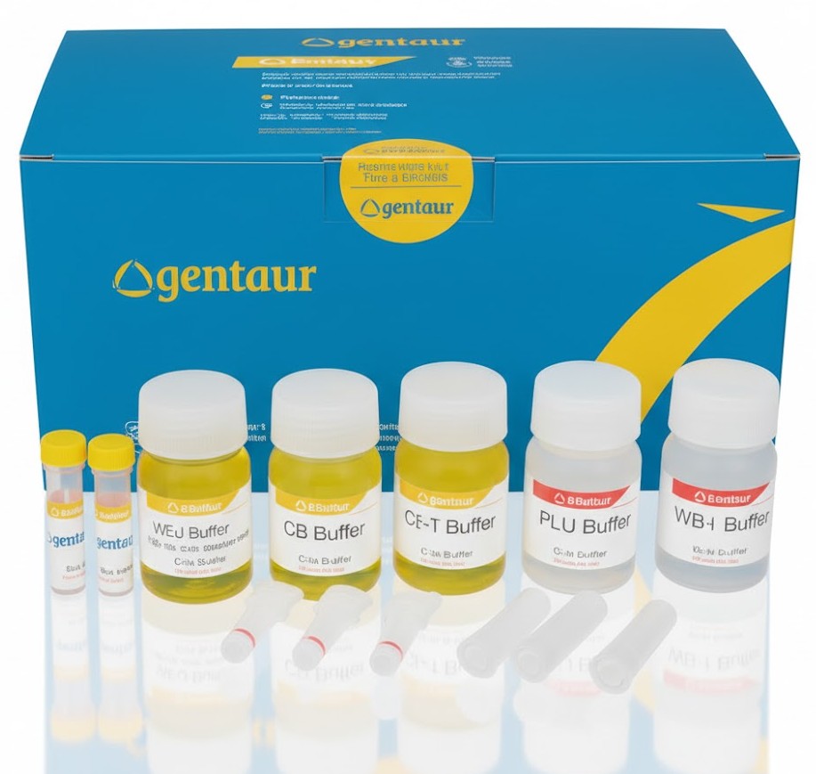 10x DNA Loading Buffer